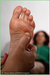 Reflexology Foot Photo
© Association of Reflexologists