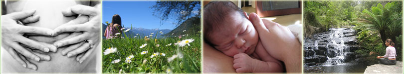 Halcyon Health
Rachael Posener - Reflexologist and Doula
providing treatments in St Albans, Herts and London